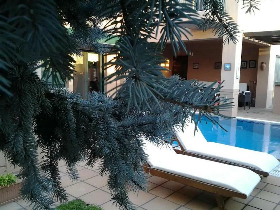 4-Seasons Pool Villa Near Meteora Trikala  Exterior photo