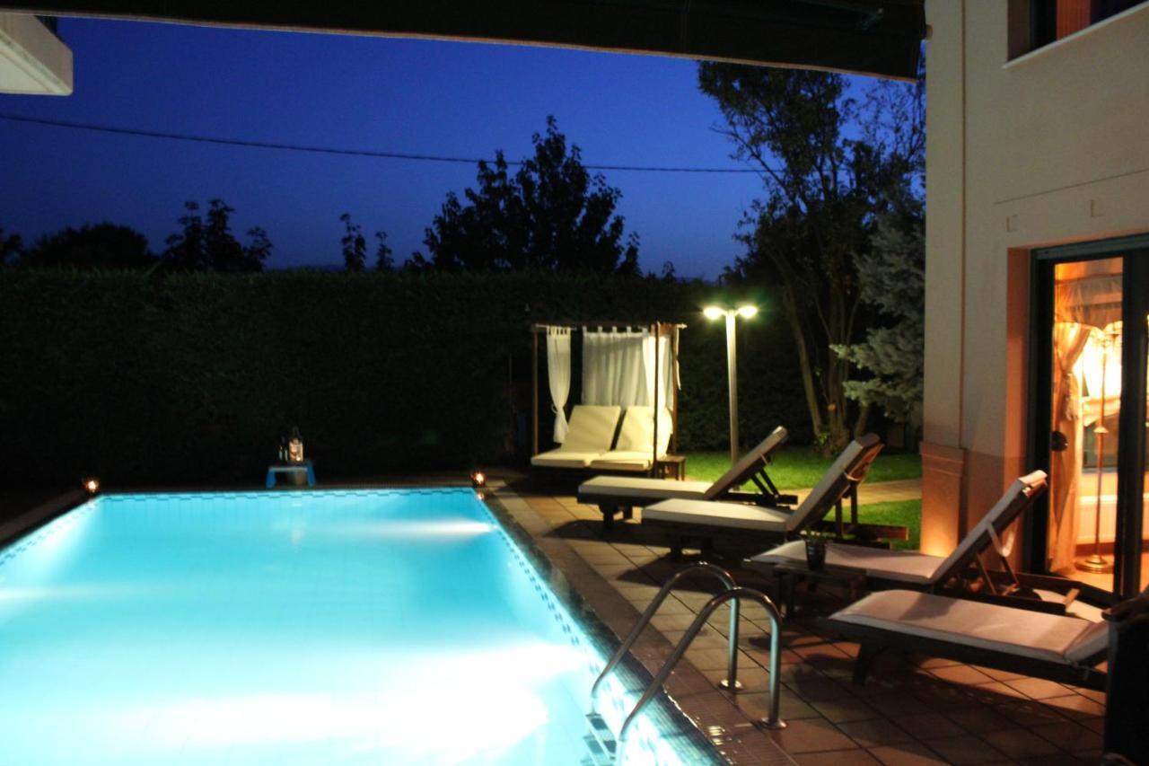 4-Seasons Pool Villa Near Meteora Trikala  Exterior photo